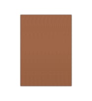 Bigpoint Eva 50x70cm Kahverengi 10'lu Paket