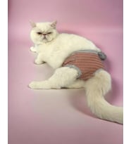 Pink Shine Kemique's Secret Kedi İç Çamaşırı  Regl Külot  Don
