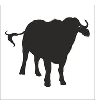 MANDA FOLYO STİCKER 90 cm uzunluk (Karışık)
