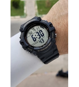 Casio CSISTE274 Erkek Kol Saati