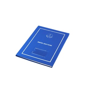 Gülpaş Sınıf Defteri Plastik Kapak Anasınıfı Kapak 25x35 Cm (Karışık)