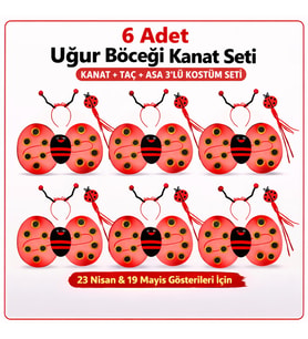 Uğur Böceği Kostüm Seti – Kanat Taç Asa