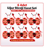 Uğur Böceği Kostüm Seti – Kanat Taç Asa