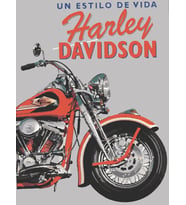 Harley Sayılarla Boyama Seti 50x65 cm (Tuvale Gerili)