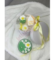 Kokulu Mum Hediye Kutusu Papatya Mevsimi - Mumelia Candles Doğal Soya Mum Seti El Yapımı Özel Tasarım