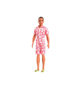 Barbie Yakışıklı Ken Bebekler DWK44 HYT99