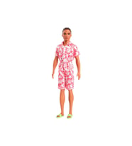 Barbie Yakışıklı Ken Bebekler DWK44 HYT99