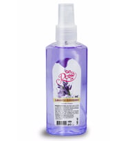 Lavanta Kolonyası Sprey 140 ml