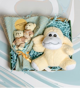 Kişiye Özel Yeni Doğan Hediye Seti-  Kişiye Özel İkili Peluş Buket- Sevimli Oyuncak (Bebe Mavisi)