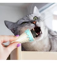 DONDURMA ŞEKLİNDE KEDİ NANESİ KEDİ OTU