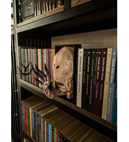 hayatvesanat Pale Man / Kitaplık Figürü / Kitap Tutucu