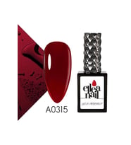 Profesyonel Kalıcı Oje 15 ml A0315