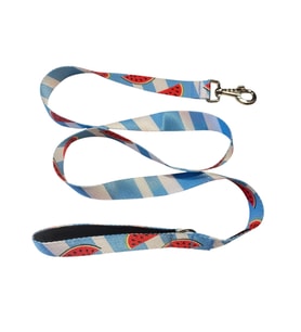 C&P Watermelon Köpek Gezdirme Kayışı 120 cm x 2,5 cm