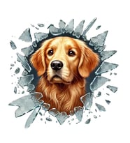 Fulcar Golden Araç Stickerı