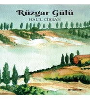 Rüzgar Gülü