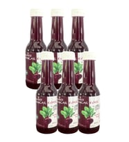 Organik Pancar Kvass Sade 6 X 250 ML