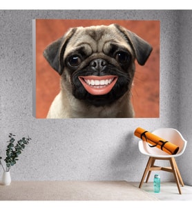 Yakın Çekim Gülümseyen Pug Yavru Köpek Dekoratif Kanvas Tablo