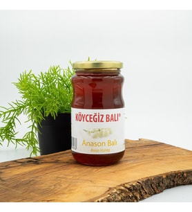 Kb Köyceğiz Balı Anason Balı 450 G Cam Kavanoz