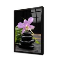 Spa Taşları ve Orkide Çerçeveli Cam Tablo