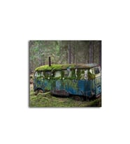 DBSanatevi Mossy Old Volkswagen In The Forest 40 X 60 Cm