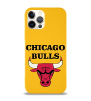 Apple iPhone 12 Pro Max  Lansman Kılıf Chicago Bulls Tasarımlı Altı Kapalı İçi Kadife Kaplı  Kapak (Şeffaf)