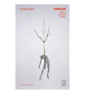 Kökler