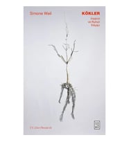 Kökler