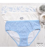 BAYAN KÜLOT-BİG SİZE (3'li Paket)