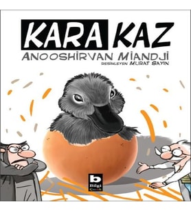 Kara Kaz