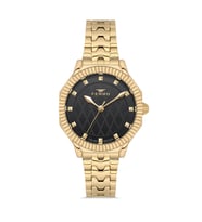Ferro FL21632AWT-B2 Quartz Çelik Altın Rengi Siyah Kadran 32 mm Kadın Kol Saati
