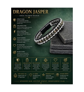 Sertifikalı Dragon Jasper Hematit Disk Model Doğal Taş Erkek Bileklik Kilitli Kapama