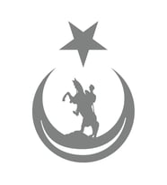 Ay Yıldız İçinde Atatürk Silüeti Sticker17x17 Cm Gri
