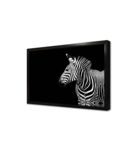 Zebra Çerçeveli Mdf Tablo