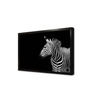 Zebra Çerçeveli Mdf Tablo
