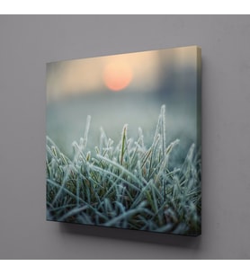 BUĞDAY BAŞAKLARI KANVAS TABLO 130x130cm (Karışık)