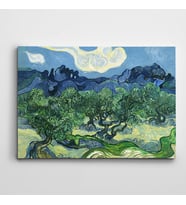 Vincent Van Gogh Olive Trees Kanvas Tablo