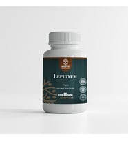 Welive Lepidyum Maca 60 kapsül