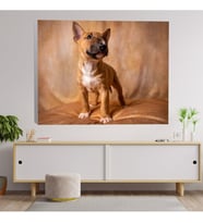 Yakın Çekim Bebek Terrier Köpek Dekoratif Kanvas Tablo