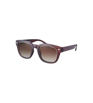 Daniel Klein DK4140-02 Polarize Kadın Güneş Gözlüğü