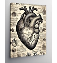 Kanvas Tablo Anatomik Kalp ve Eski Çizimler