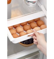 Eggo Pratik Geçmeli Mandallı Raf Yumurtalık 15'li Dolap Içi Yumurta Saklama Kutusu