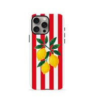 iPhone 15 Pro Vorian Çift Katmanlı MagSafe Kılıf Lemon Parade Red