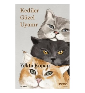 Kediler Güzel Uyanır