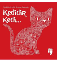 Kedidir Kedi...