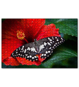 Cakapuzzle Gülhatmi Çiçeği ve Siyah Beyaz Kelebek  Puzzle Yapboz MDF (Ahşap) (120 Parça)
