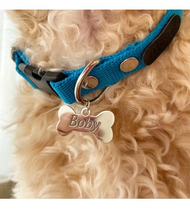 MAVİ RENK İSİMLİ KEMİK MODEL KÖPEK TASMASI