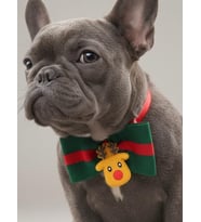 Royal Rudolph Premium Yılbaşı Köpek Papyonu  Limited Edition Luxe Aksesuar  Orta & Büyük Irklar İçin (Yeşil)