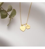 Kişiye Özel 925 Ayar Gümüş Pati Kilit Model Harf Kolye (Gold)