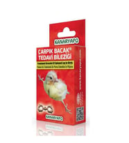 Kanaryapoo Kanarya Çarpık Bacak Bileziği 10'lu Paket