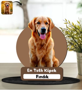 BK Gift Köpeğinizin Fotoğrafına Özel Masa Biblosu, Ev Hediye, Arkadaşa Hediye, Sevgiliye Hediye